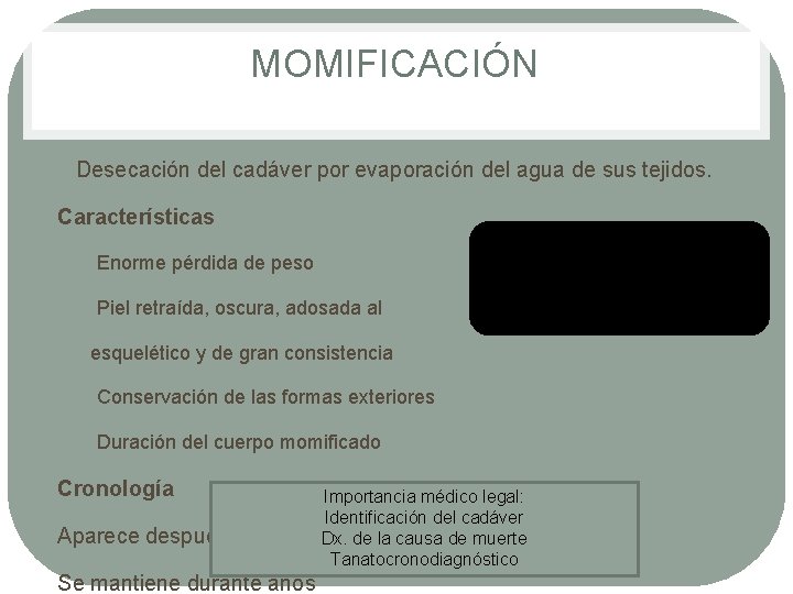 MOMIFICACIÓN Desecación del cadáver por evaporación del agua de sus tejidos. Características 1. Enorme MOMIFICACIÓN Desecación del cadáver por evaporación del agua de sus tejidos. Características 1. Enorme