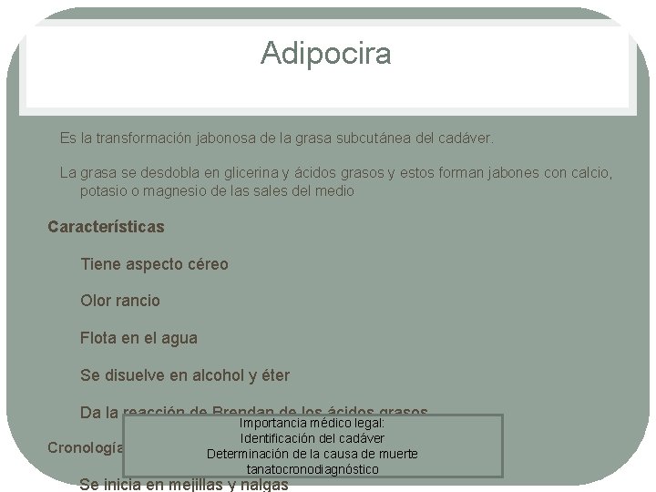 Adipocira Es la transformación jabonosa de la grasa subcutánea del cadáver. La grasa se Adipocira Es la transformación jabonosa de la grasa subcutánea del cadáver. La grasa se