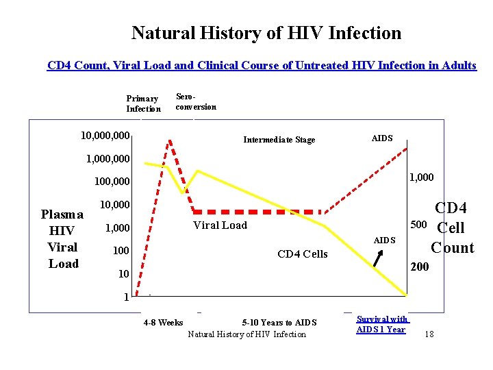 Natural History of HIV Infection CD 4 Count, Viral Load and Clinical Course of