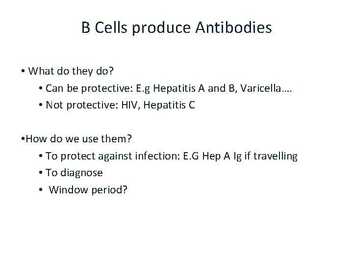 B Cells produce Antibodies • What do they do? • Can be protective: E.
