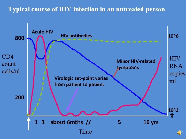 Typical course of HIV infection in an untreated person 800 Acute HIV antibodies CD