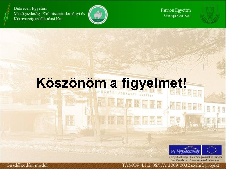 Köszönöm a figyelmet! 