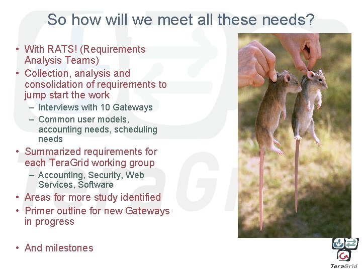 So how will we meet all these needs? • With RATS! (Requirements Analysis Teams)