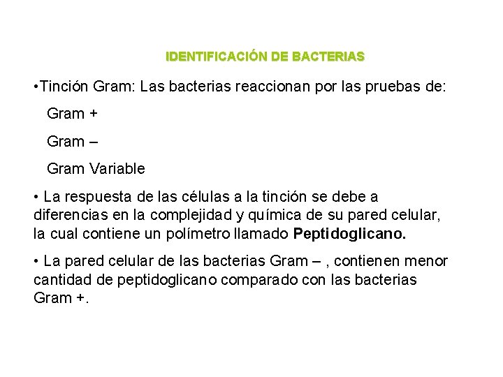 IDENTIFICACIÓN DE BACTERIAS • Tinción Gram: Las bacterias reaccionan por las pruebas de: Gram