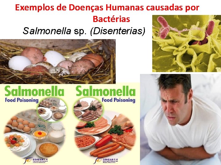 Exemplos de Doenças Humanas causadas por Bactérias Salmonella sp. (Disenterias) 