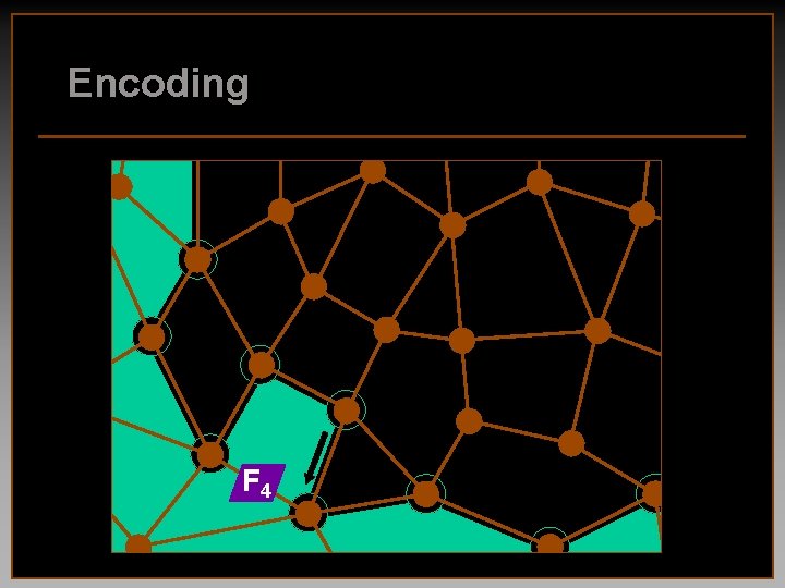 Encoding F 4 