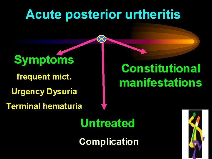 Acute posterior urtheritis Symptoms Constitutional manifestations frequent mict. Urgency Dysuria Terminal hematuria Untreated Complication