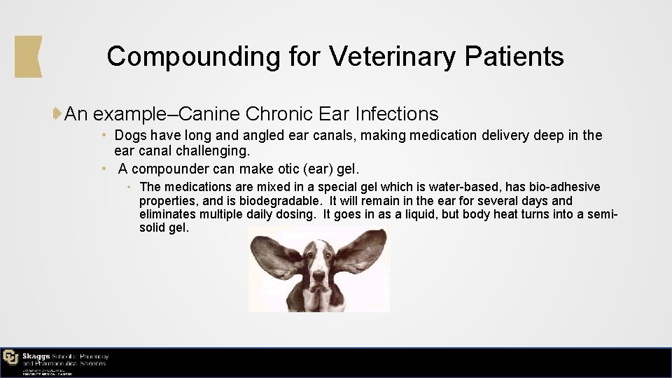 Compounding for Veterinary Patients ➧An example–Canine Chronic Ear Infections • Dogs have long and