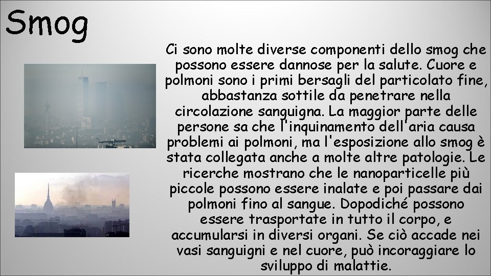 Smog Ci sono molte diverse componenti dello smog che possono essere dannose per la