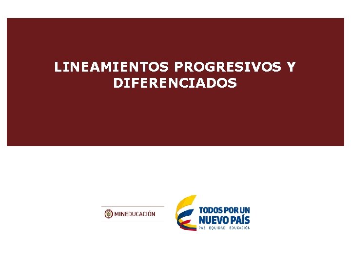 LINEAMIENTOS PROGRESIVOS Y DIFERENCIADOS 