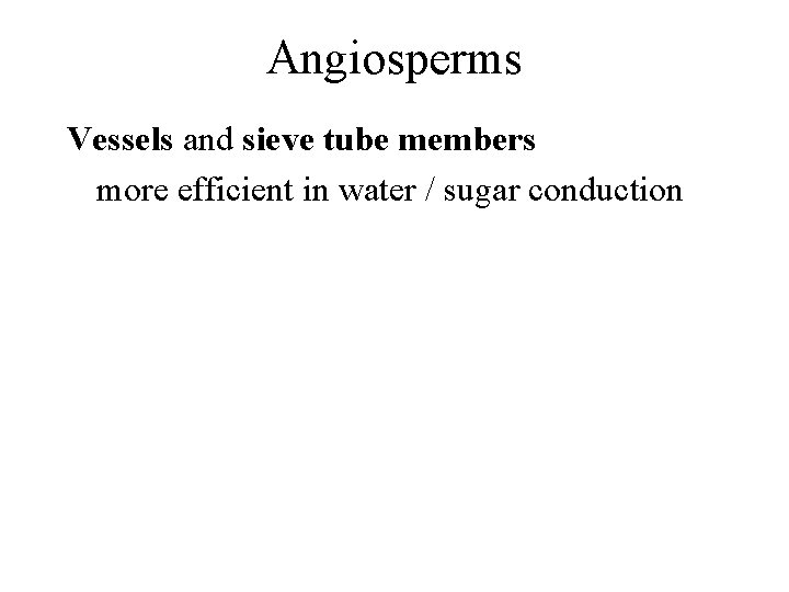 Angiosperms Vessels and sieve tube members more efficient in water / sugar conduction 