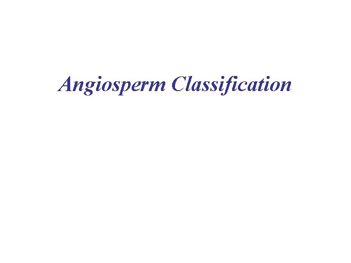 Angiosperm Classification 