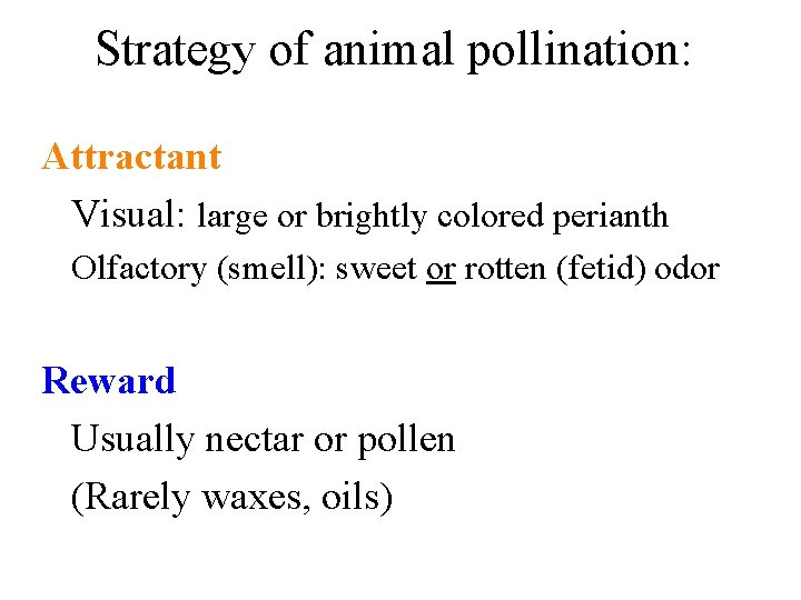 Strategy of animal pollination: Attractant Visual: large or brightly colored perianth Olfactory (smell): sweet