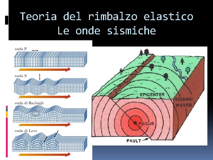 Teoria del rimbalzo elastico Le onde sismiche 