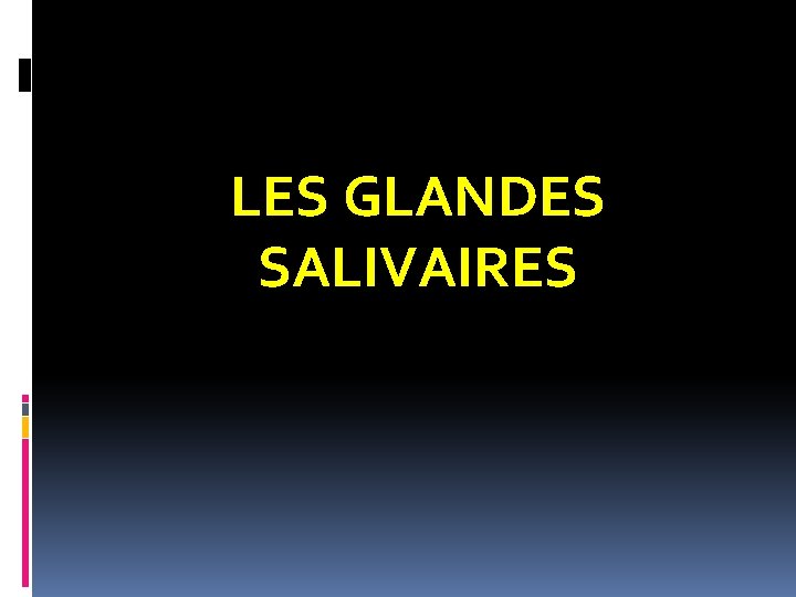LES GLANDES SALIVAIRES LES GLANDES SALIVAIRES