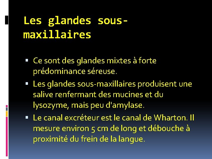 Les glandes sousmaxillaires Ce sont des glandes mixtes à forte prédominance séreuse. Les glandes Les glandes sousmaxillaires Ce sont des glandes mixtes à forte prédominance séreuse. Les glandes