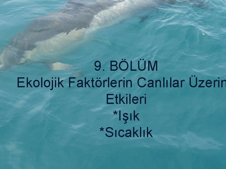 9. BÖLÜM Ekolojik Faktörlerin Canlılar Üzerin Etkileri *Işık *Sıcaklık 