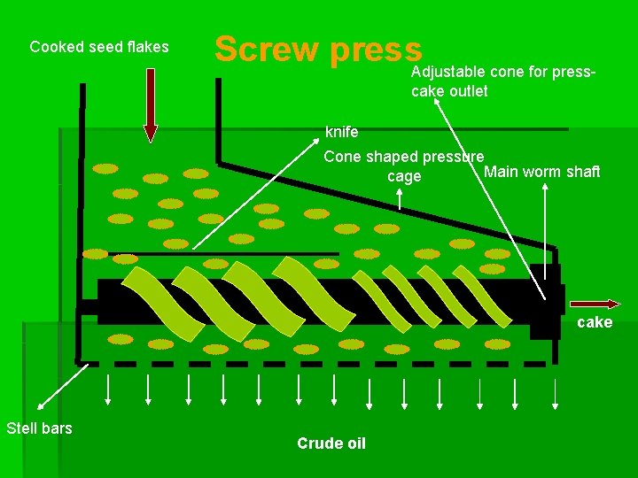 Cooked seed flakes Screw press. Adjustable cone for presscake outlet knife Cone shaped pressure