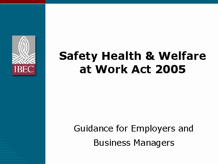 Safety Health & Welfare at Work Act 2005 Guidance for Employers and Business Managers