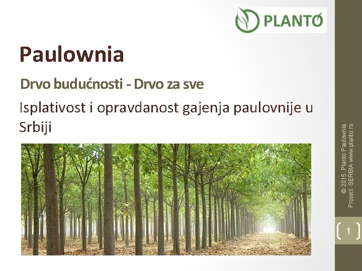 Drvo budućnosti - Drvo za sve Isplativost i opravdanost gajenja paulovnije u Srbiji ©