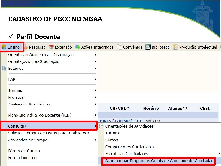 CADASTRO DE PGCC NO SIGAA ü Perfil Docente 