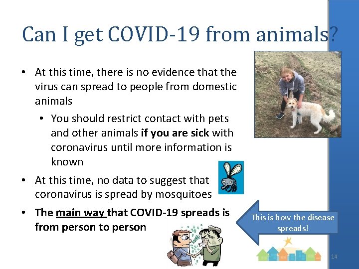 Can I get COVID-19 from animals? • At this time, there is no evidence