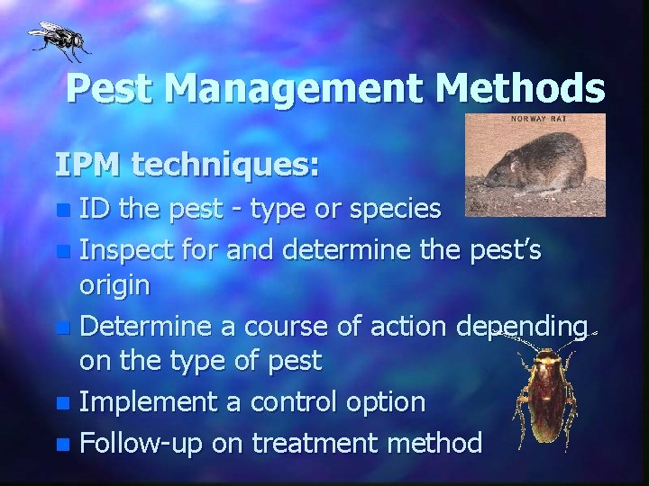 Pest Management Methods IPM techniques: ID the pest - type or species n Inspect