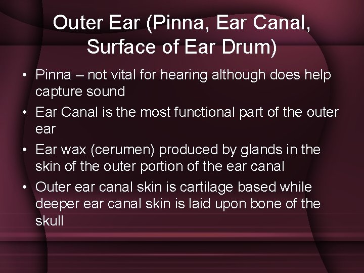 Outer Ear (Pinna, Ear Canal, Surface of Ear Drum) • Pinna – not vital