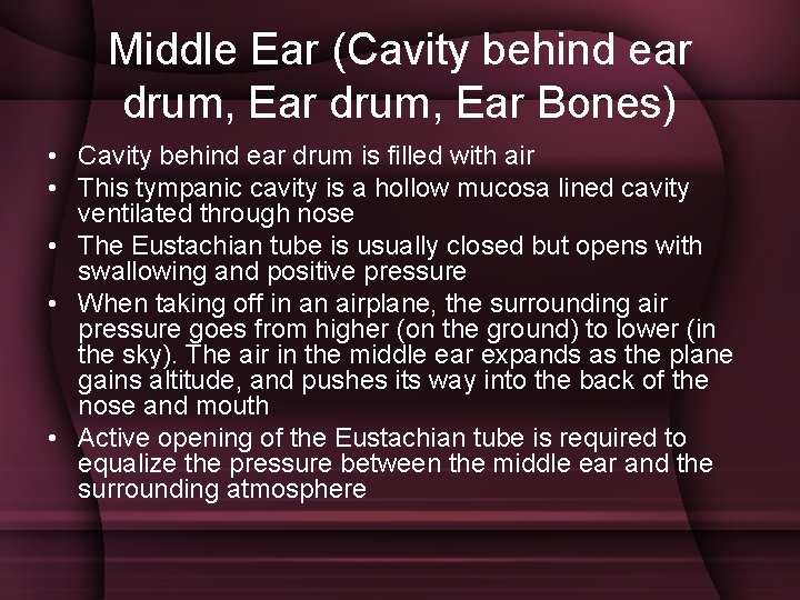 Middle Ear (Cavity behind ear drum, Ear Bones) • Cavity behind ear drum is
