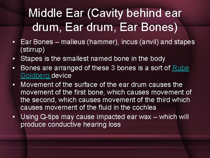 Middle Ear (Cavity behind ear drum, Ear Bones) • Ear Bones – malleus (hammer),