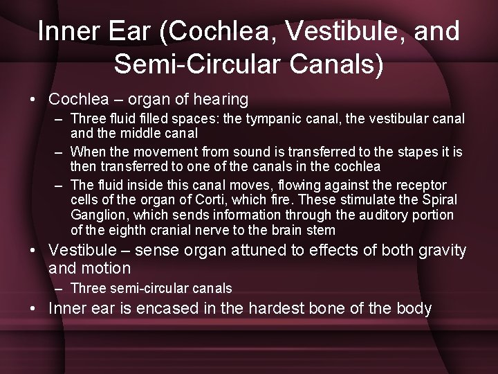 Inner Ear (Cochlea, Vestibule, and Semi-Circular Canals) • Cochlea – organ of hearing –