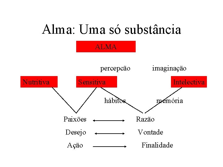 Alma: Uma só substância ALMA percepcão Nutritiva imaginação Sensitiva Intelectiva hábitos memória Paixões Razão