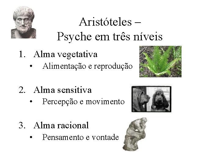 Aristóteles – Psyche em três níveis 1. Alma vegetativa • Alimentação e reprodução 2.