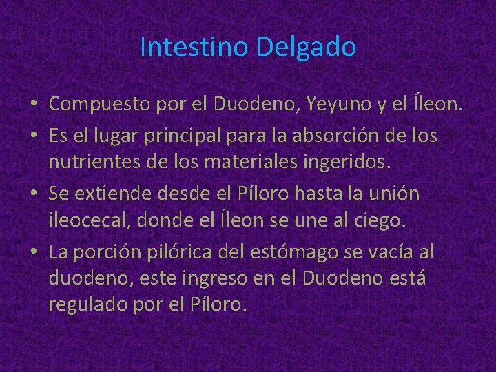 Intestino Delgado • Compuesto por el Duodeno, Yeyuno y el Íleon. • Es el