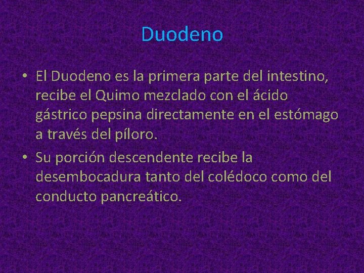 Duodeno • El Duodeno es la primera parte del intestino, recibe el Quimo mezclado