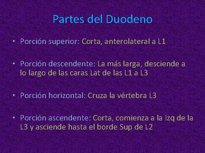 Partes del Duodeno • Porción superior: Corta, anterolateral a L 1 • Porción descendente: