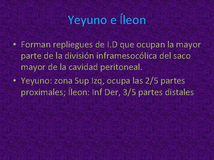 Yeyuno e Íleon • Forman repliegues de I. D que ocupan la mayor parte