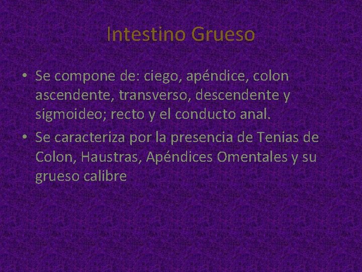 Intestino Grueso • Se compone de: ciego, apéndice, colon ascendente, transverso, descendente y sigmoideo;