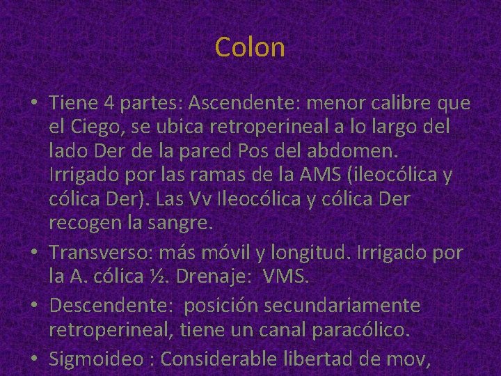 Colon • Tiene 4 partes: Ascendente: menor calibre que el Ciego, se ubica retroperineal