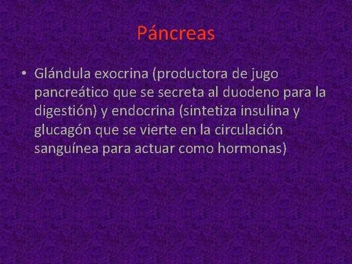 Páncreas • Glándula exocrina (productora de jugo pancreático que se secreta al duodeno para