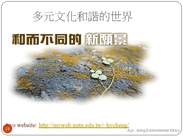 多元文化和諧的世界 Ayo website: http: //myweb. nutn. edu. tw/~hycheng/ 28 Ayo : doing Environmental Ethics