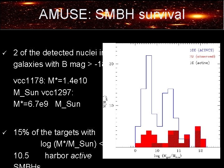 AMUSE: SMBH survival ü 2 of the detected nuclei in galaxies with B mag