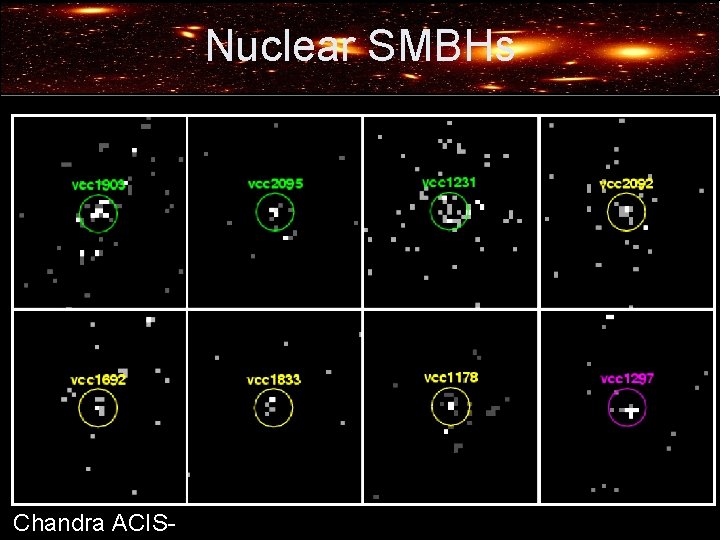 Nuclear SMBHs Chandra ACIS- 