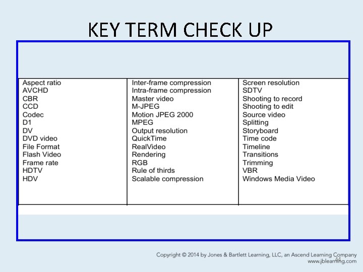 KEY TERM CHECK UP 44 