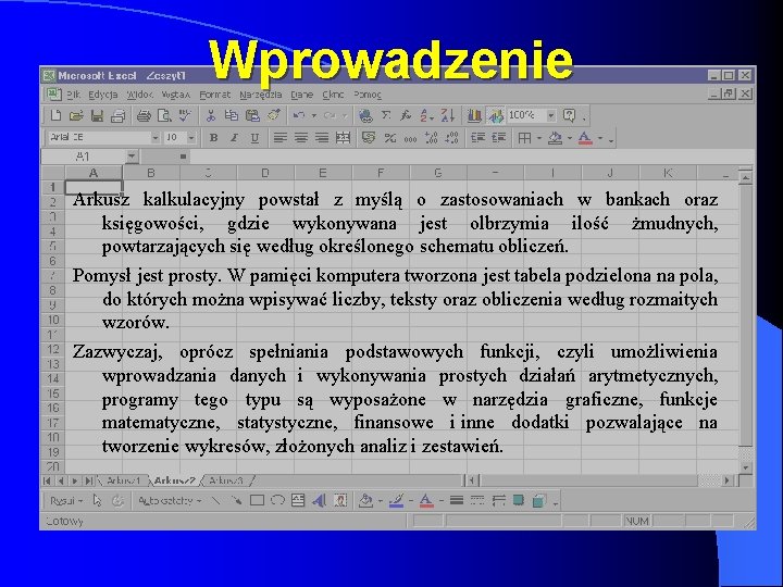 Wprowadzenie Arkusz kalkulacyjny powstał z myślą o zastosowaniach w bankach oraz księgowości, gdzie wykonywana