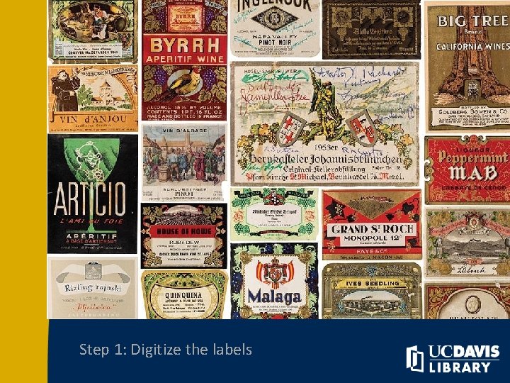 Step 1: Digitize the labels 