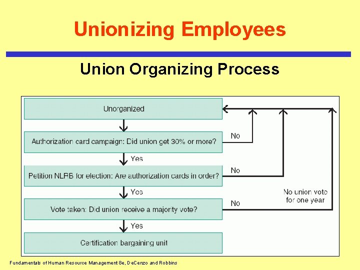 Unionizing Employees Union Organizing Process Fundamentals of Human Resource Management 8 e, De. Cenzo