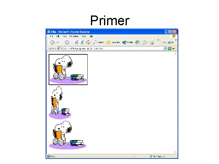 Primer 