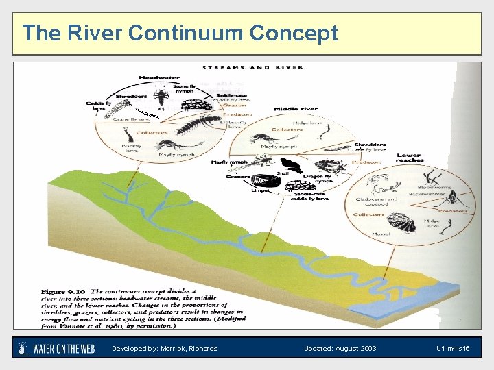 The River Continuum Concept Developed by: Merrick, Richards Updated: August 2003 U 1 -m