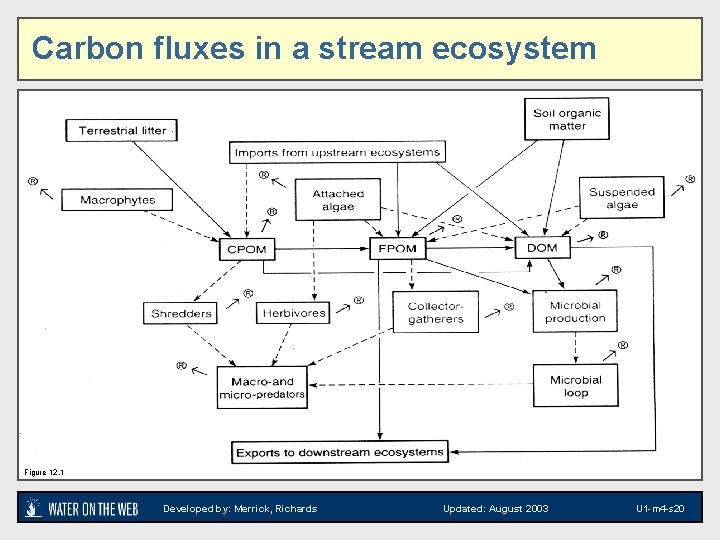 Carbon fluxes in a stream ecosystem Figure 12. 1 Developed by: Merrick, Richards Updated: